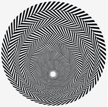 Bridget Riley. Blaze 1. 1964